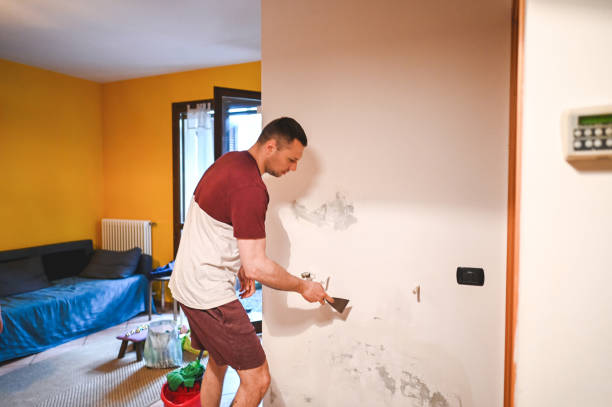 Best Preventive Mold Services in Ballville, OH